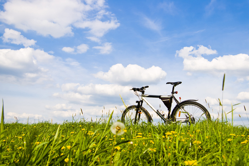 bike in a tranquil rural scene